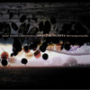 near death experience, SHADOW HEARTS Arrangetracks